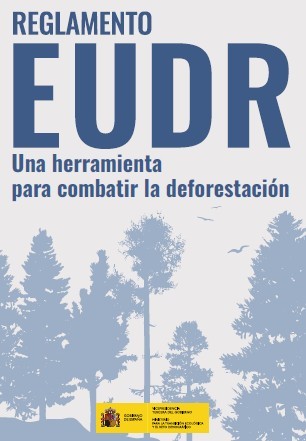 ¿Qué es la normativa EUDR y a qué empresas forestales afecta?