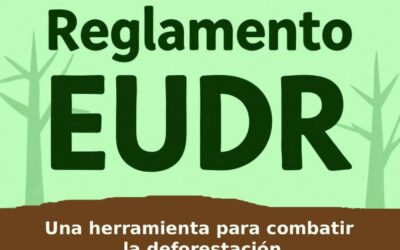 ¿Qué es la normativa EUDR y a qué empresas forestales afecta?