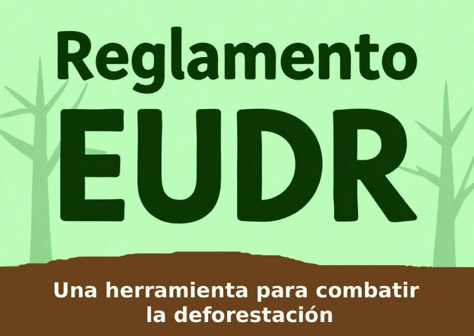 ¿Qué es la normativa EUDR y a qué empresas forestales afecta?
