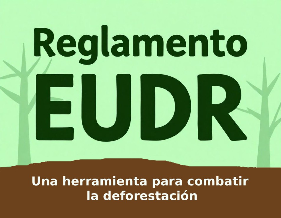 EDUR reglamento deforestacion Cerna